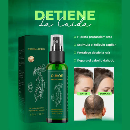 HairZen Pro Productos Tendencia #1 USA